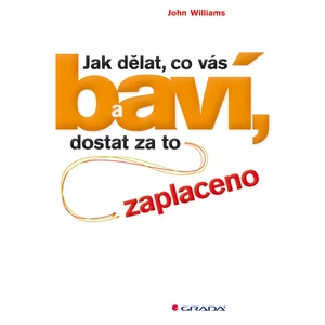 Jak dělat, co vás baví, a dostat za to zaplaceno, Williams John