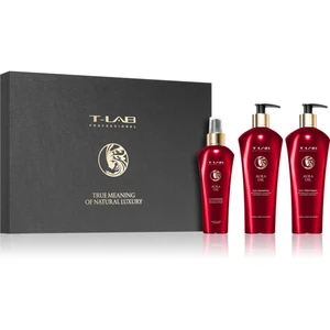 T-LAB Professional Aura Oil darčeková sada (pre výživu a lesk)