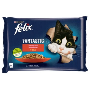 FELIX Fantastic Multipack 12(4x85g) hovädzie/kura v želé