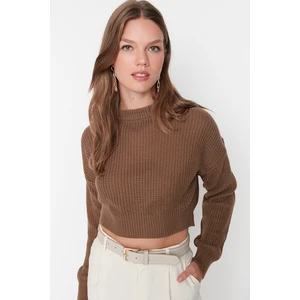 Trendyol Sweater - Brown - Regular fit