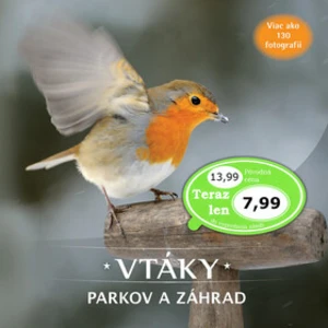 Vtáky parkov a záhrad