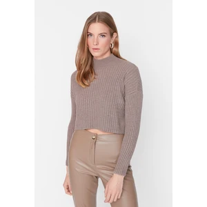 Sweter damski Trendyol Knitwear