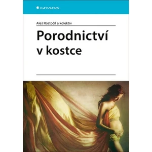 Porodnictví v kostce - Aleš Roztočil