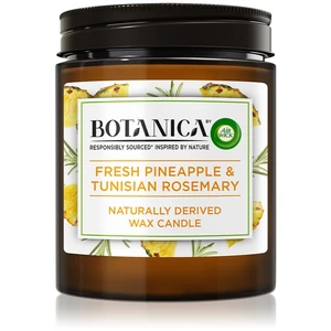 Air Wick Botanica Fresh Pineapple & Tunisian Rosemary vonná svíčka 205 g