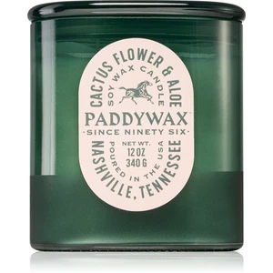 Paddywax Vista Cactus Flower & Aloe vonná sviečka 340 g