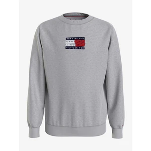 Grey Boys' Sweatshirt Tommy Hilfiger - Boys