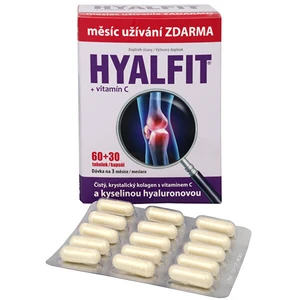 HYALFIT + vitamín C