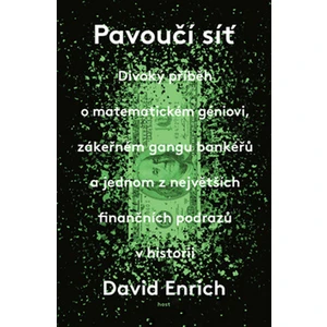 Pavoučí síť - David Enrich