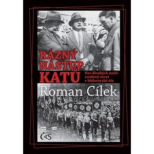 Rázný nástup katů - Roman Cílek