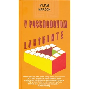 V poschodovom labyrinte - Marčok Viliam