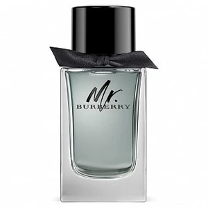 Burberry Mr. Burberry toaletní voda pro muže 50 ml