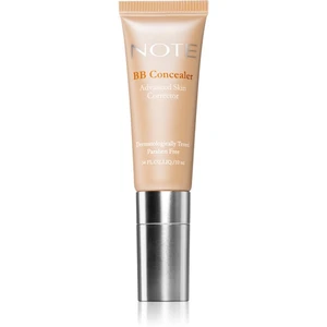 Note Cosmetique BB Concealer dlouhotrvající korektor 02 10 ml