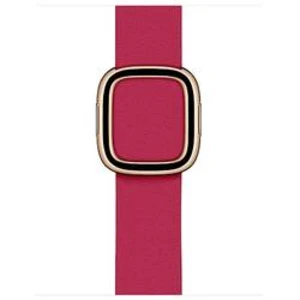 Apple Watch 40mm Raspberry Modern Buckle - Medium