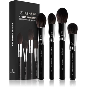 Sigma Beauty Studio Brush Set sada štětců (pro ženy)