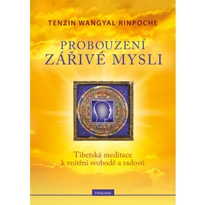 Probouzení zářivé mysli - Rinpoche Tenzin