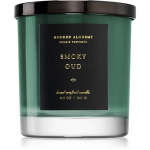 DW Home Modern Alchemy Smoky Oud vonná svíčka 241 g