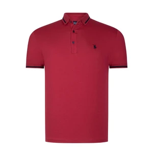 Polo da uomo dewberry