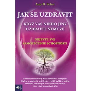 Jak se uzdravit - Amy B. Scher