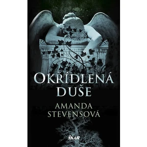 Okřídlená duše - Amanda Stevensová