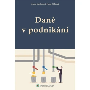 Daně v podnikání - Alena Vančurová, Hana Zídková