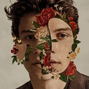 Shawn Mendes - Mendes Shawn [CD album]