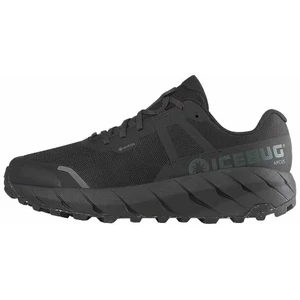 Icebug Arcus Womens RB9X GTX 40