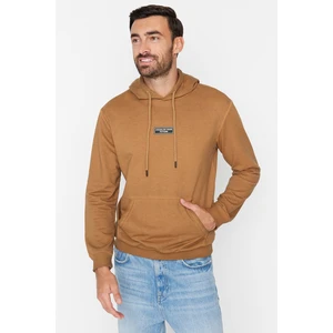 Trendyol Sweatshirt - Brown - Regular fit