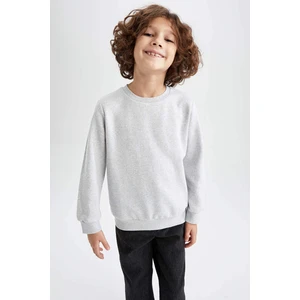 DEFACTO Boys Regular Fit Crew Neck Reversible Sweatshirt