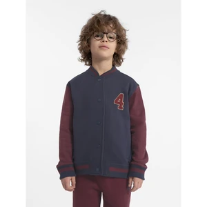 Boys' cotton sweatshirt