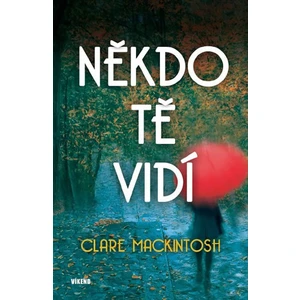 Někdo tě vidí - Clare Mackintosh