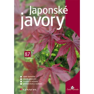 Japonské javory, Bartoš Pavel