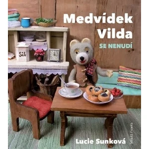 Medvídek Vilda se nenudí - Sunková Lucie