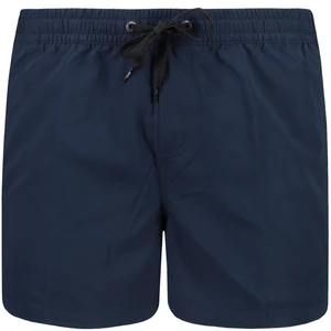 Pantaloncini da bagno da uomo Quiksilver EVERYDAY 15" VOLLEYS