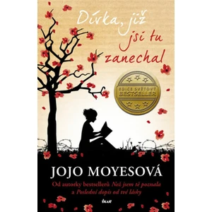 Dívka, již jsi tu zanechal - Jojo Moyes