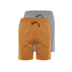 Trendyol Camel-Grey Men's 2-Pack Shorts & Bermuda