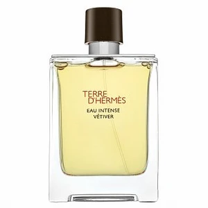 Hermès Terre d'Hermès Eau Intense Vétiver parfumovaná voda pre mužov 100 ml