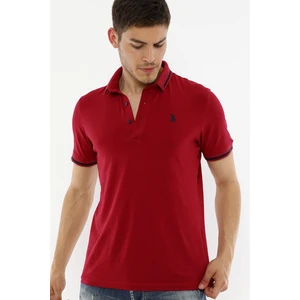 Polo da uomo dewberry Basic