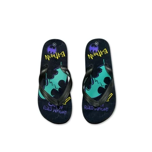 Boy's flip flops Batman - Frogies