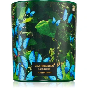 Vila Hermanos Jungletopia Blue Butterfly vonná sviečka 200 g