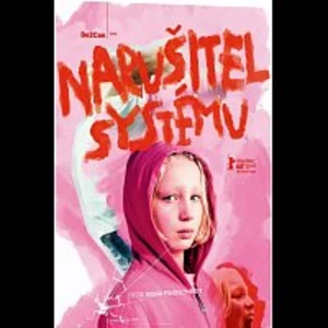 Narušitel systému - DVD