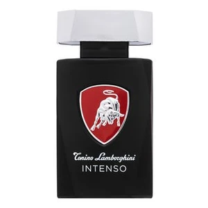 Tonino Lamborghini Intenso toaletní voda pro muže 125 ml