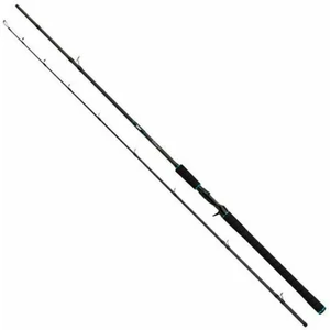 Salmo Tollmaster 2,4 m 40 - 60 g 2 părți