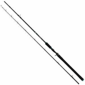 Salmo Tollmaster 2,4 m 40 - 60 g 2 parties