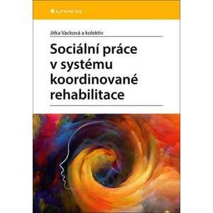 Sociální práce v systému koordinované rehabilitace