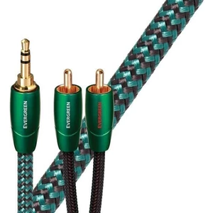 AudioQuest Evergreen 1 m Vert Hi-Fi Câble AUX