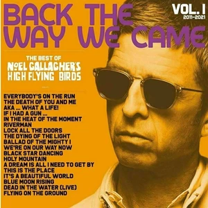 Noel Gallagher Back The Way We Came Vol. 1 (Box Set) (4 LP + 7'' Vinyl + 3 CD)