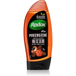 Radox Men Invigorating sprchový gél pre mužov 3v1 250 ml