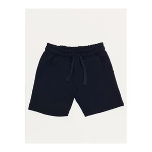 Denokids Basic Boys' Navy Blue Shorts