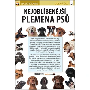 Nejoblíbenější plemena psů - Naučná karta