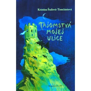 Tajomstvá mojej ulice - Kristína Šudová-Tomčániová